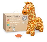 Animali Musicali Little Big Friends