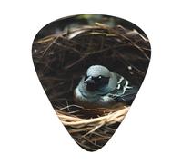 Little Bird Nest - Set di 12 plettri per chitarra acustica, ukulele e molto altro ancora.