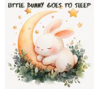 “Little Bunny Goes to Sleep”: Bedtime storie