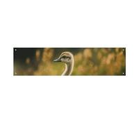 Little Duck in The Field - Grande striscione da appendere alla parete, sfondo per feste di compleanno, Capodanno, laurea, matrimonio, festa di compleanno, decorazione, 120 x 30 cm