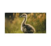 Little Duck in The Field - Grande striscione da appendere alla parete, sfondo per feste di compleanno, Capodanno, laurea, matrimonio, festa di compleanno, decorazione, 180 x 90 cm