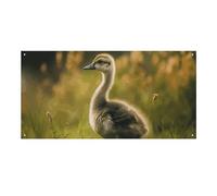Little Duck in The Field - Grande striscione da appendere alla parete, sfondo per feste di compleanno, Capodanno, laurea, matrimonio, festa di compleanno, decorazione, 120 x 60 cm