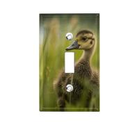Little Duck in the Grass 1-Gang Placche da parete per interruttore a levetta singola piastra decorativa da parete in metallo per cucina fattoria camera da letto bagno decorazione artistica