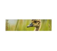 Little Duck in the Grass Grande striscione per feste da appendere alla parete banner per feste di compleanno fondali per Capodanno, laurea, matrimonio, festa di compleanno, decorazione, 120 x 30 cm