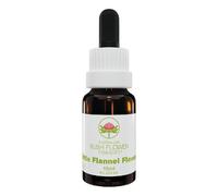 Little Flannel Flower 15 Ml 15 ml Olio essenziale