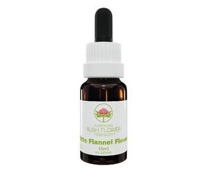 Little Flannel Flower 15 Ml 15 ml Olio essenziale