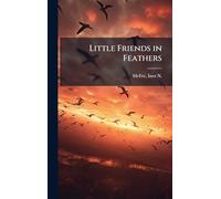 Little Friends in Feathers