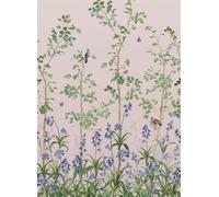 Little Greene Carta da parati Bird and Bluebell - China Clay