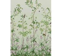 Little Greene Carta da parati Bird and Bluebell - Pea Green