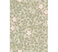 Little Greene Carta da parati Briar Rose - Green Mist