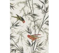 Little Greene Carta da parati Great Ormond Street - Signature