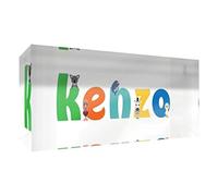 Little Helper Souvenir decorativo in acrilico trasparente lucido come Diamante Stile Illustrativo colorato con il nome di Giovane Ragazzo Kenzo 5 x 21 x 2 cm grande