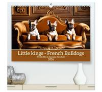 Little kings - French Bulldogs (High Quality Premium Wall Calendar 2026 DIN A2 landscape),CALVENDO 12 Month Wall Calendar: Stylish life on baroque furniture