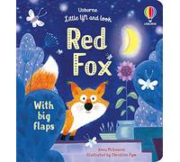 Little Lift and Look Red Fox – Usborne