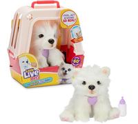 Little Live Pets My Really Real Puppy-Luna dei Samoiedi, Multicolore, 26578