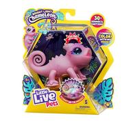 MOOSE Little Live Pets - Calm A Chameloen - Nova (26365) Nova Singolo