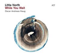 Little North & Oscar Andreas Haug - While You Wait (180 g) (LP)