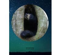 Little Pond Landing: Bear Spirit Journal