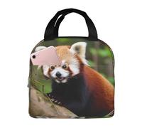 Little Red Panda Borsa termica per il pranzo per donne e uomini, riutilizzabile, portatile, a prova di perdite, borsa per il pranzo con tasca frontale per viaggi, picnic, ufficio, lavoro