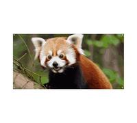 Little Red Panda grande striscione per feste da appendere alla parete sfondo banner festa di compleanno fondali per Capodanno, laurea, matrimonio, festa di compleanno, decorazione, 180 x 90 cm