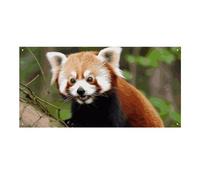 Little Red Panda grande striscione per feste da appendere alla parete sfondo banner festa di compleanno fondali per Capodanno, laurea, matrimonio, festa di compleanno, decorazione, 120 x 60 cm