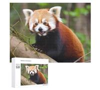 Little Red Panda Puzzle per adulti 520 pezzi unico puzzle in legno regalo impegnativo puzzle per serate di gioco in famiglia 38 x 50 cm