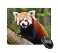 Little Red Panda, tappetino per mouse da scrivania con base in gomma antiscivolo, tappetino per mouse quadrato, tappetino per mouse da scrivania, per laptop, ufficio, accessori regalo, 18 x 22 cm