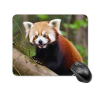 Little Red Panda, tappetino per mouse da scrivania con base in gomma antiscivolo, tappetino per mouse quadrato, tappetino per mouse da scrivania, per laptop, ufficio, accessori regalo, 20 x 25 cm