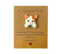 Little Resin Animal Pocket Hug Bulk Regali di supporto emotivo con carta positiva, tasca ispiratrice Un abbraccio di affermazione della carta
