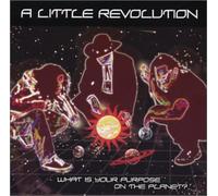 Little Revolution - What Is Your Purpose On The Planet?
