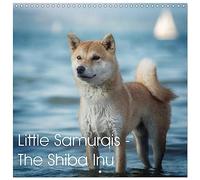 Little Samurais The Shiba Inu (Wall Calendar 2026 12" x 24" / 30 x 60 cm (aperto) Calvendo 12 Month Wall Calendar