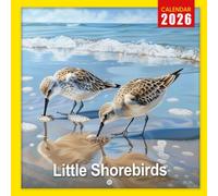 Little Shorebirds Calendar 2026: A Year of Tiny Shorebirds on the Beach