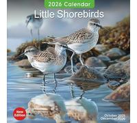 Little Shorebirds Calendar 2026: A Year of Tiny Shorebirds on the Beach