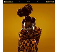 Little Simz-Sometimes I Might Be Introvert Vinyl 2xLP Album RE Mil Sealed