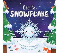 Little Snowflake: Padded Board Book