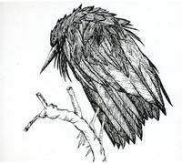 Little Sparrow - Spiral Joy Band (Audio cd)