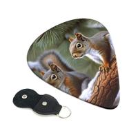 Little Squirrel - Confezione da 6 plettri per chitarra con porta plettri in pelle, portachiavi, custodia per plettri, arte astratta, per chitarra elettrica acustica, ukulele, 0,96 mm