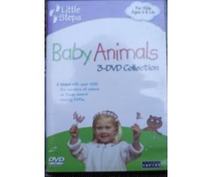 Little Steps: Baby Animals