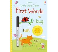Little Wipe-Clean First Words (Little Wipe-Cleans): 1