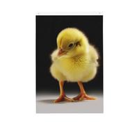 Little Yellow Chicken Welcome Garden Flag 2x3 Ft Double Sided No Fade House Yard Flags Photo Sfondo Banner per Cortile Portico Prato Decorazione Esterna