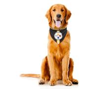 Littlearth NFL Team Dog Bandana, Black, S