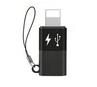 Littlefixer Adattatore da USB C a Lightning per collegare il microfono DJI Mini a iPhone 14 13 12 11 Smartphone/PC/Mac, accessori connettore ricevitore microfono wireless (da tipo C a Lightning) (1)