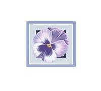 Liu Jo Sciarpa '2A6053 T2745' blu chiaro / orchidea / bianco Donna - Premium - Accessori - Sciarpe e foulard - Sciarpe Liu Jo One Size