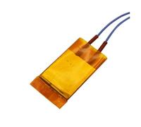 LIUCH 5 pezzi/lotto 44x40x3, mm elemento riscaldante 110 V/220 V riscaldatore a film sottile termostato guscio in alluminio in ceramica piastra(220V100Degree8-55W)