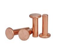 LIUCH Rivetti pieni in rame viola M1.5 M2 M3 M4 M5 M6 M8 GB109 Chiodi in a testa piatta Chiodo in salice a estrazione manuale(10mm,M4-(20pcs))