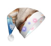 Liulannq Seashells By The Seashore Bellissimi cappelli possono essere indossati da uomini, donne e bambini, e sono anche regali di festa. Possono anche essere utilizzati per decorare case e aumentare