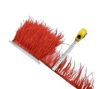 LiuliuBull 1 Meter Natural Ostrich Feather Fringe Trim - 8-10cm Colored Fluffy Feathers for Dress Sewing, Clothes Decor, and Party Decoration(Rosso)