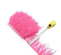 LiuliuBull 1 Meter Natural Ostrich Feather Fringe Trim - 8-10cm Colored Fluffy Feathers for Dress Sewing, Clothes Decor, and Party Decoration(Watermelon red)