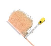 LiuliuBull 1 Meter Natural Ostrich Feather Fringe Trim - 8-10cm Colored Fluffy Feathers for Dress Sewing, Clothes Decor, and Party Decoration(Champagne)