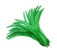 LiuliuBull 100 piume di coda di gallo - piume di fagiano lunghe 30-35 cm for decorazioni nuziali fai da te e accessori for le feste(Grass green)